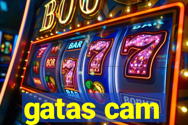 gatas cam